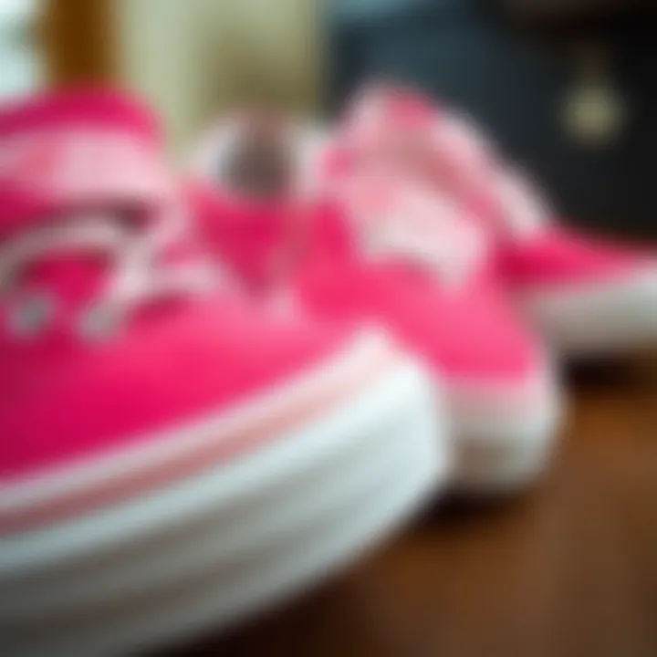 Intricate Design Details of Pink and White Vans Close-up of pink and white Vans highlighting intricate design details
